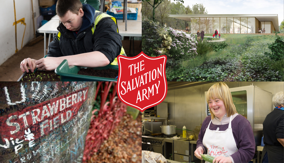 StraweberryfieldSAimage